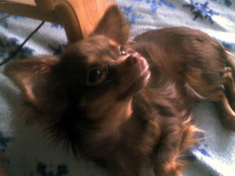 Foto: Magali-kuk :-)