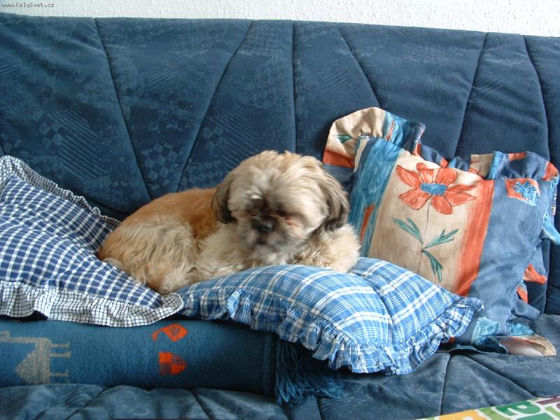 Foto: FERDA-POHODI�KA