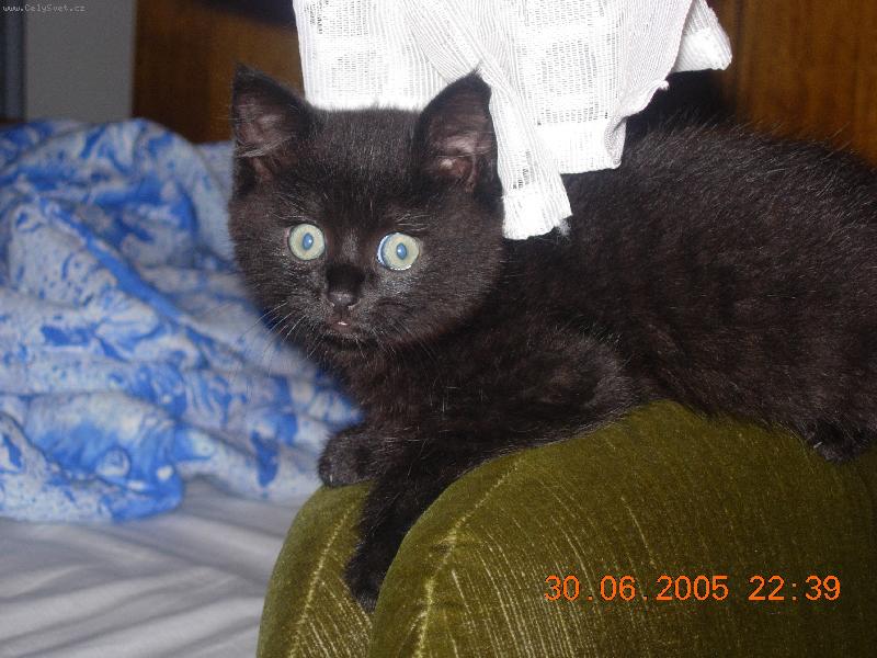 Foto: N� Luci�ek