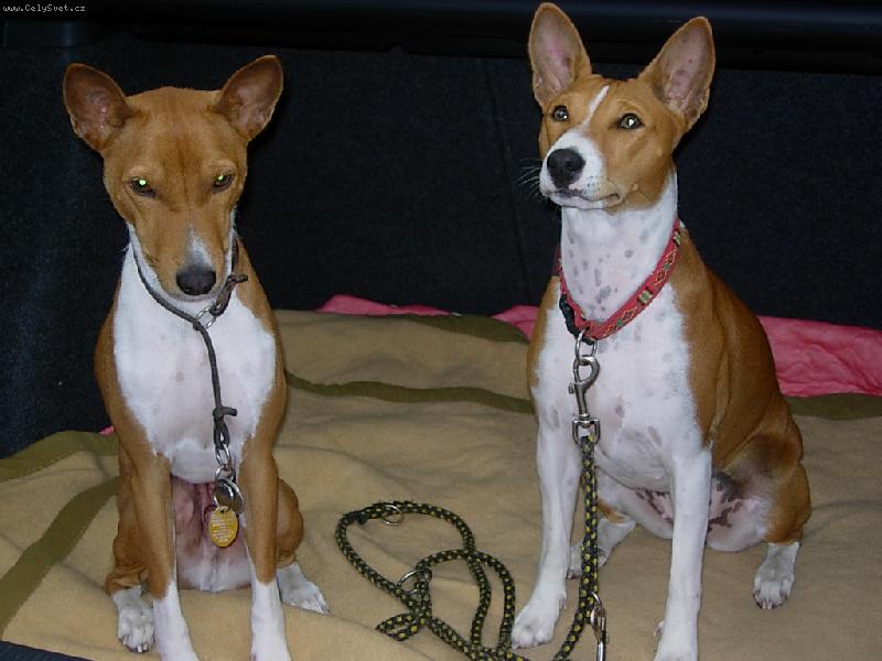 Foto: Aimee a Rusty-Aimee a Rusty