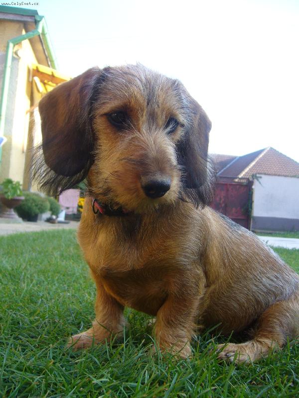 Foto: hmm to je rozhled....