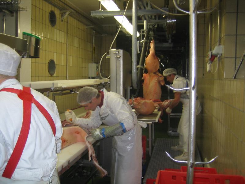 Foto: sle�na Keysi