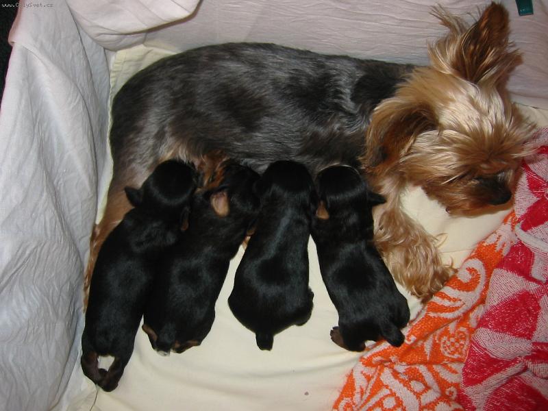 Foto: mamka a moji br�kov� a s�gra