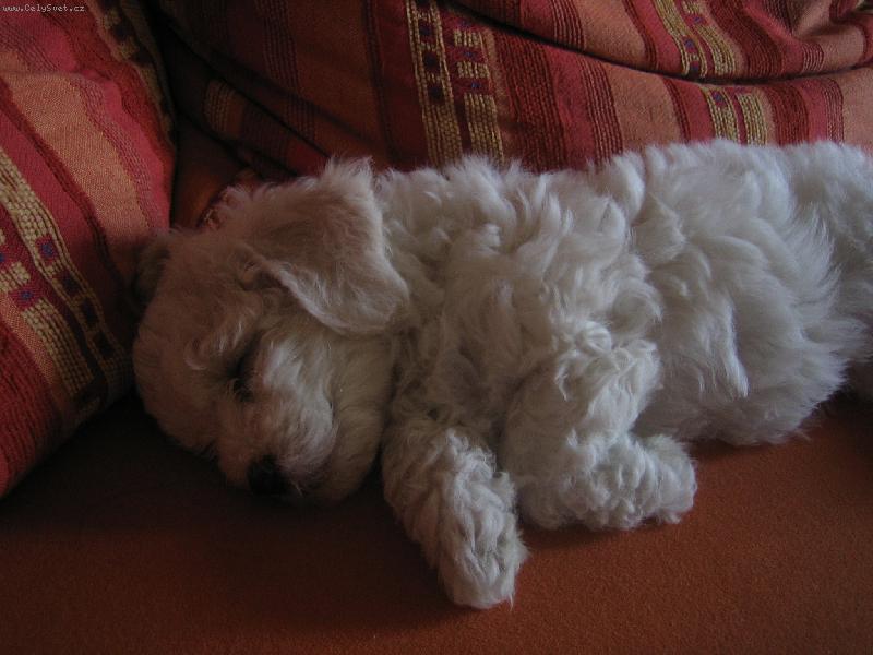 Foto: sle�na Keysi