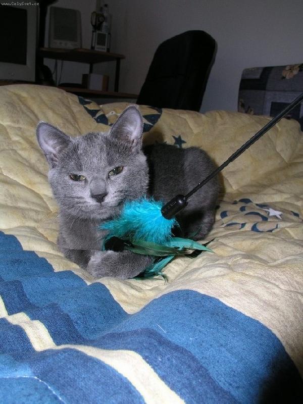 Foto: Akim of Rousarth-Pohod��