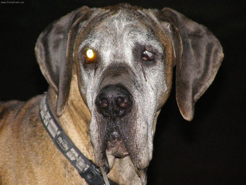 Foto: Caky u Rychl�ho ��bla