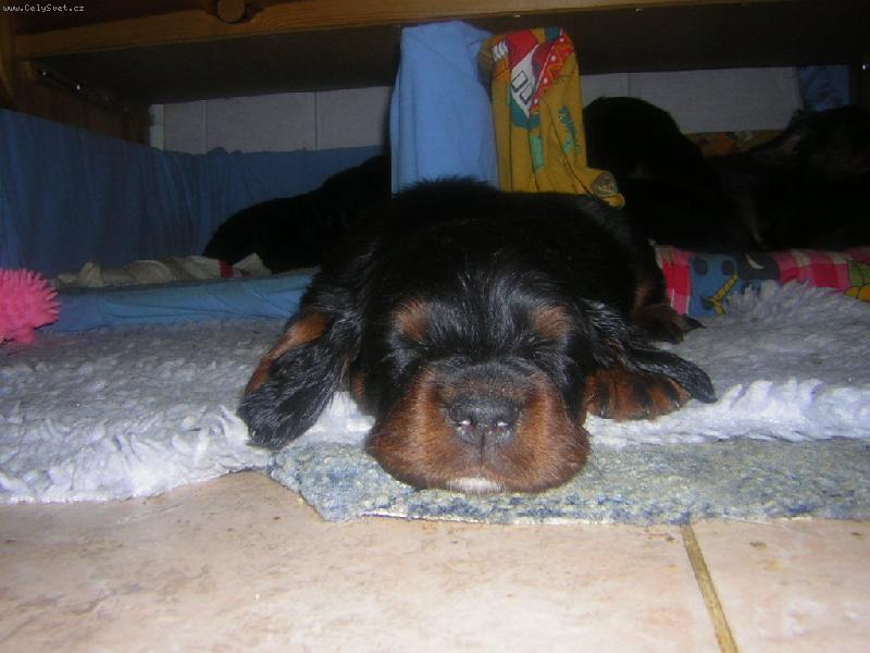 Foto: a spala , a spala, a spala...-5ti t�denn� mimi