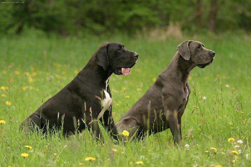 Foto: Aneta a Ennia-�ek�me.......