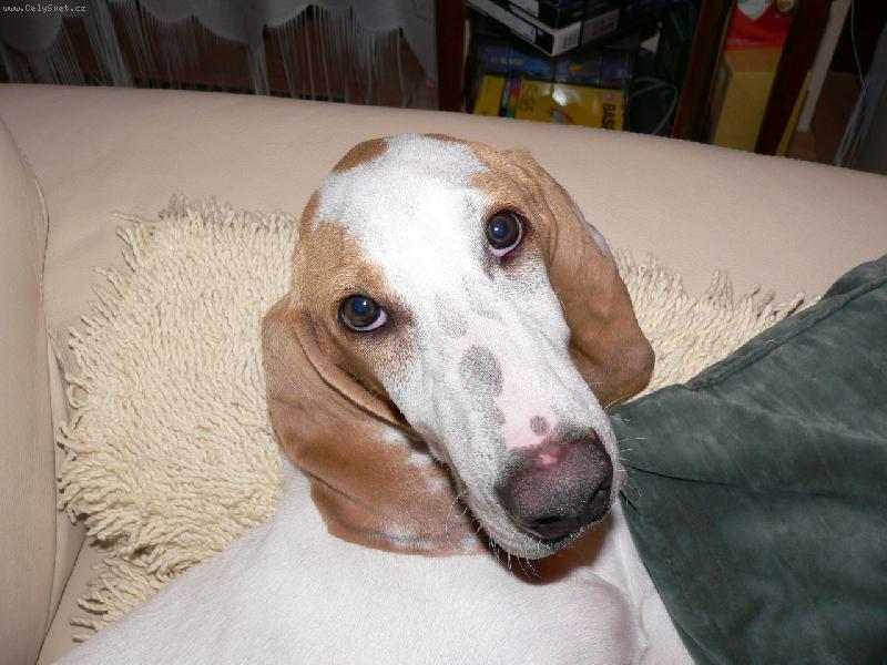 Foto: Na�e zlat��ko-8 m�s��n� Athos