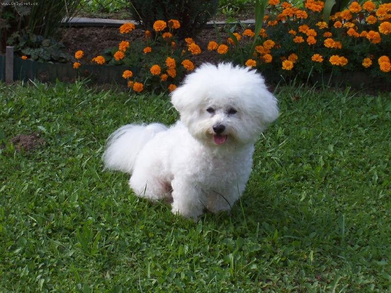 Foto: Andy z �erven�ch roklin