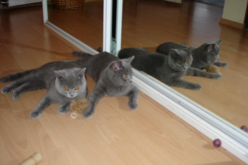 Foto: Arnee a Mike�-Kolik n�s tady je? :-))))