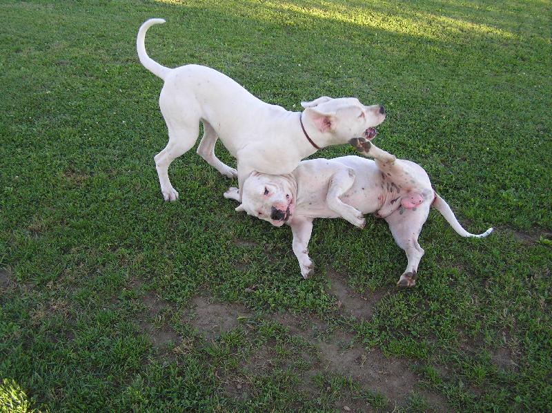 Foto: Ricardo a Jacinta