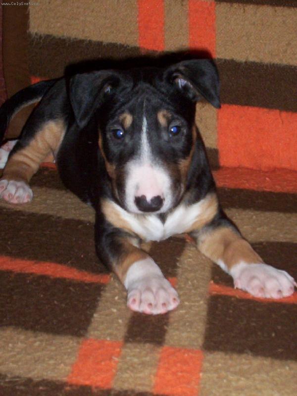 Foto: este mali�k�