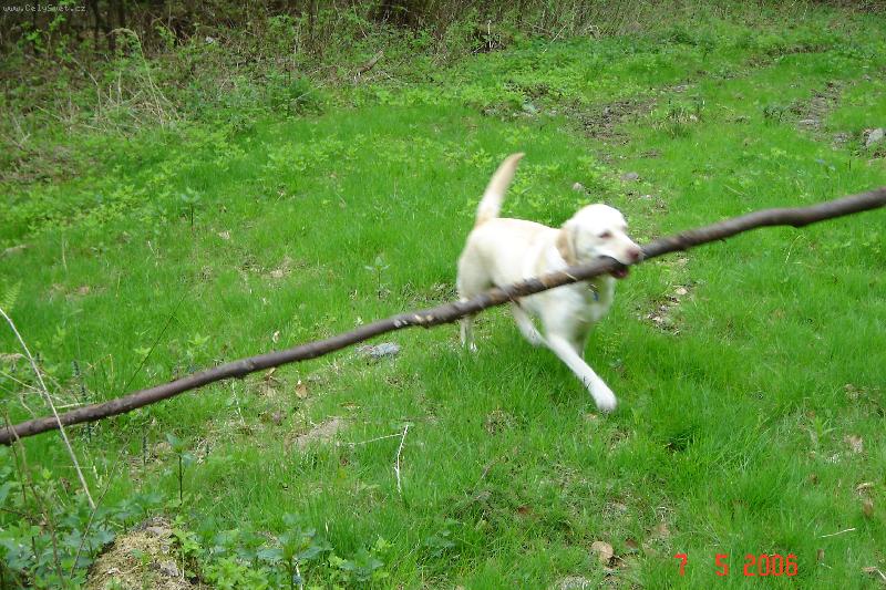 Foto: BUBLINKA-c�m v�t��, t�m \"lep��\"