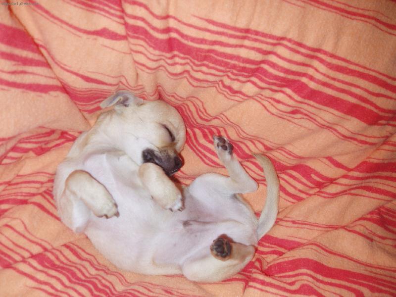 Foto: Sammy spink�:)-..chrrrr...