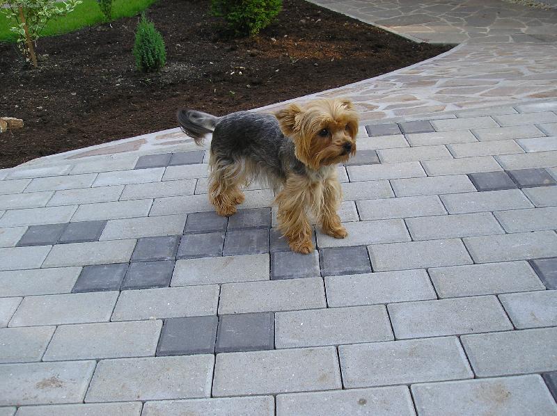 Foto: Besinka-fe�anda co :o)