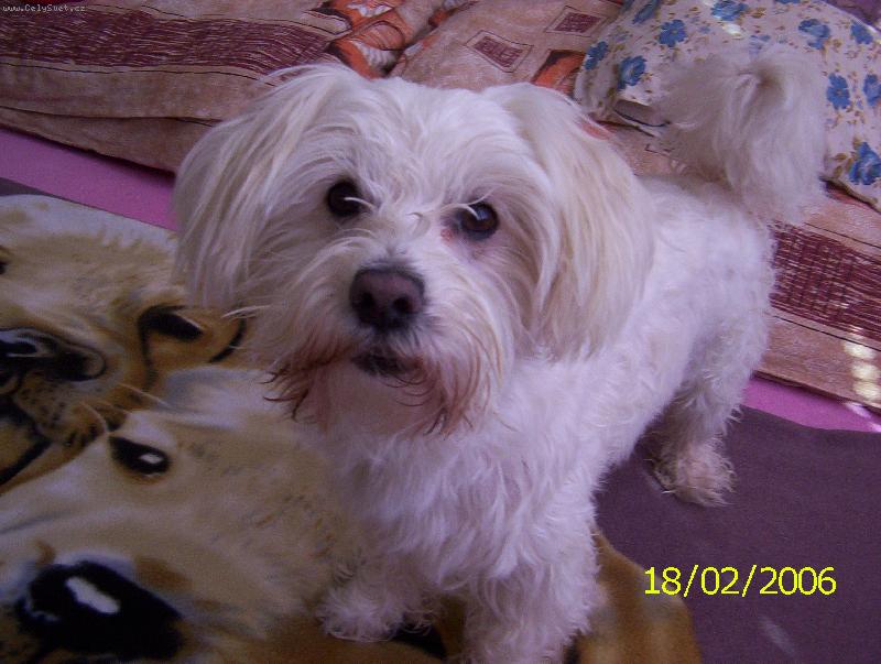 Foto: Max��ek-Zrovna vykoupany...