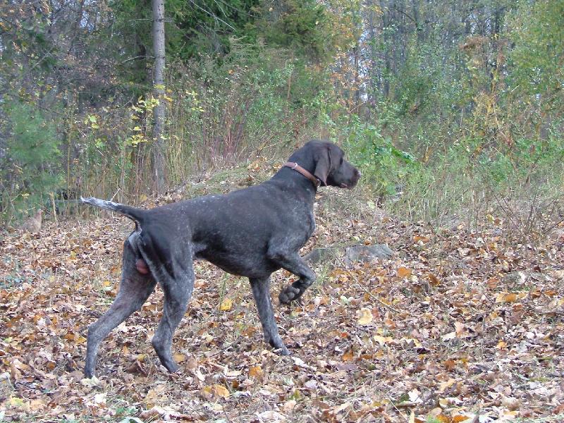 Foto: Bond ze �t�pek-vystavuje