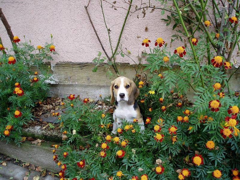 Foto: Bambule-Nejobl�ben�j�� m�sto