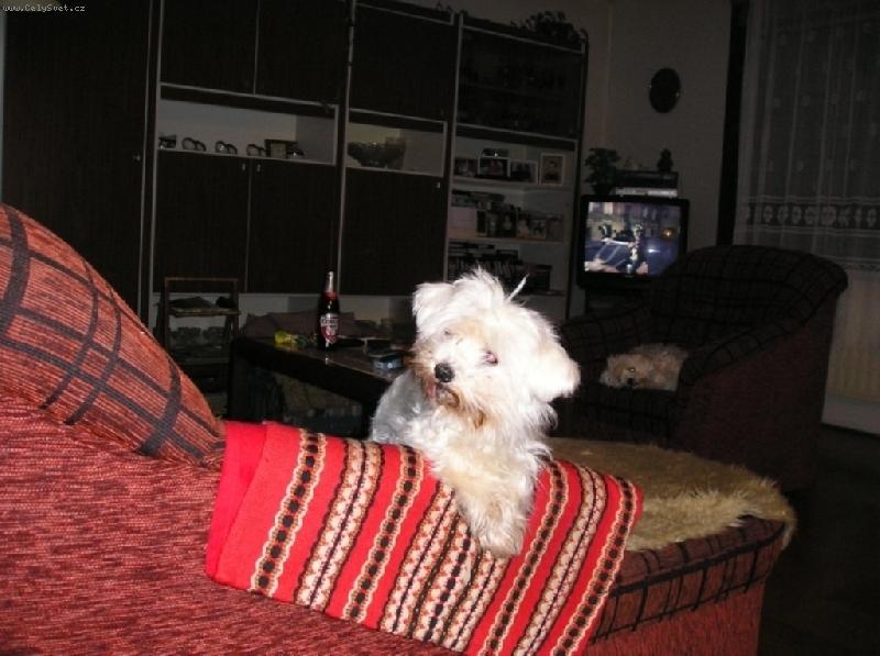 Foto: Ged�it-mam 15 rokov a jeden zub