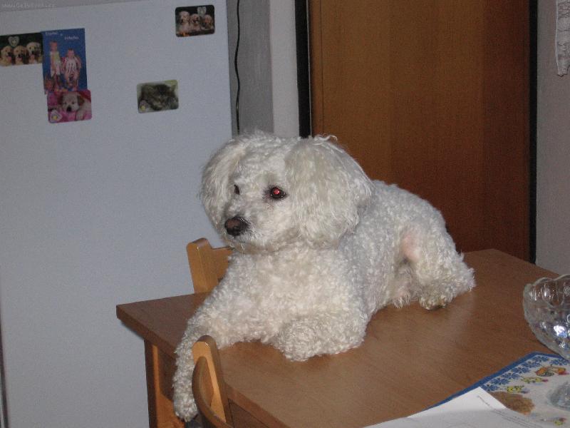 Foto: Mare�ek-Mare�ek