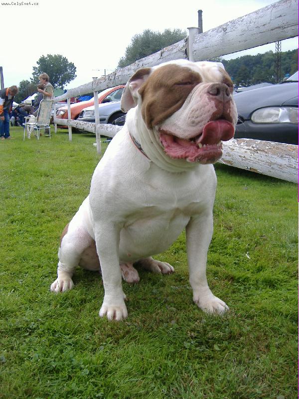 Foto: Gideon Tenesco Neraka-v�stava Mlad� Boleslav