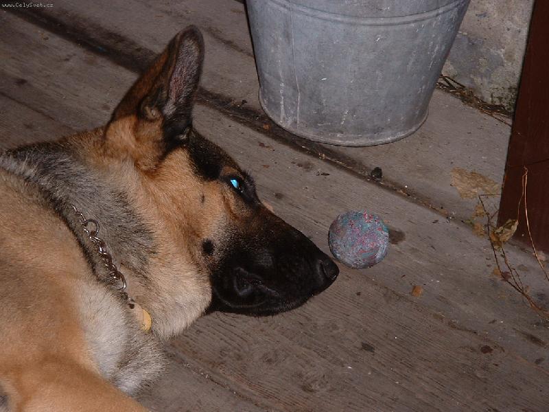 Foto: Bad�sek bez PP-Neboj nikomu t� ned�m...