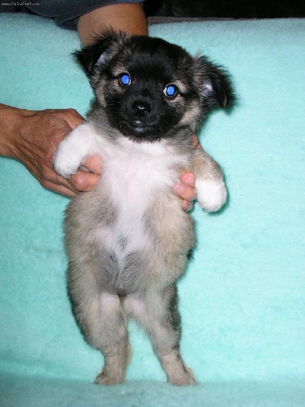 Foto: n� Ob��k