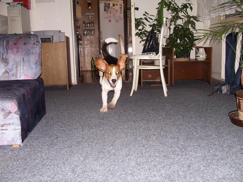 Foto: ozzy-trochu mi hr�blo