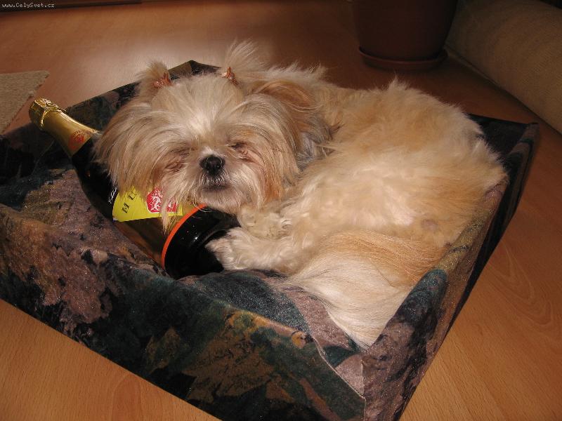 Foto: Su�i spink�