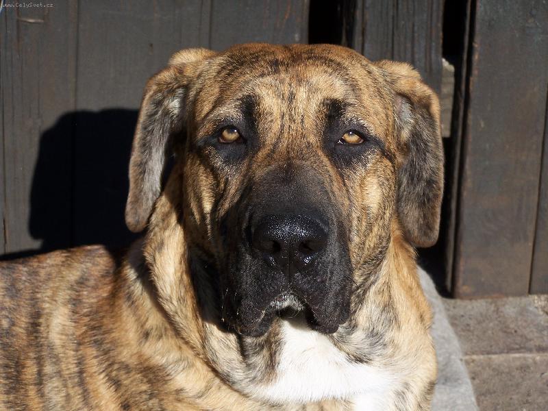 Foto: Fidel-bude mi 8 m�s�c�