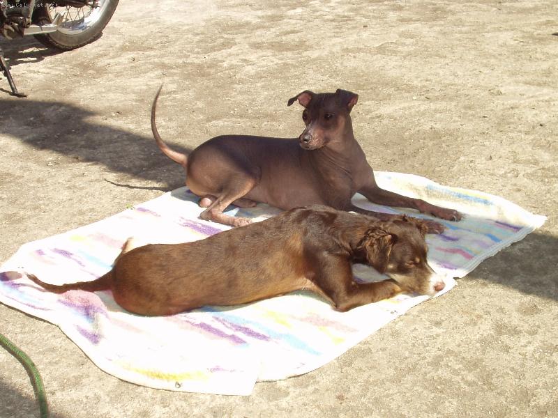 Foto: peruansk� nah��-povinn� opalov�n�...