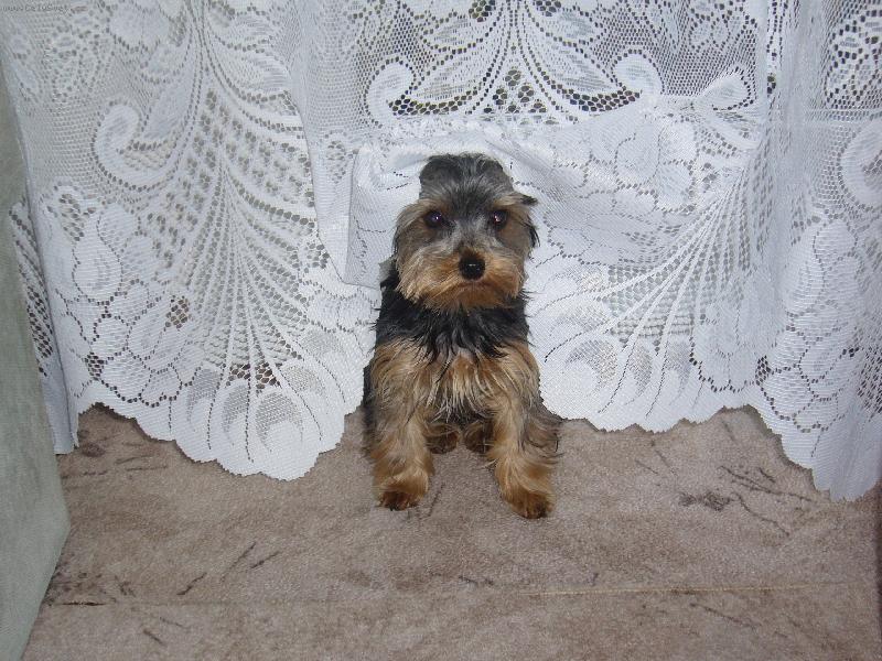 Foto: byla jsem kouknout z balkonu....