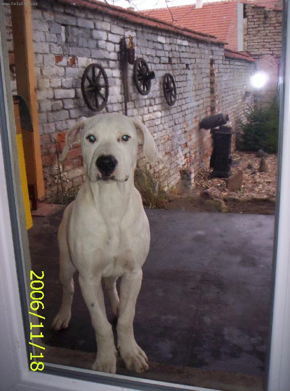 Foto: Fatima-u� m� pust�te dovnit�?