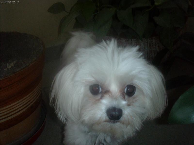 Foto: Eiminka-Eiminka