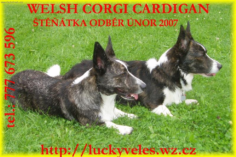 Foto: Dakota a Dafino Corlan Gi-sourozenci