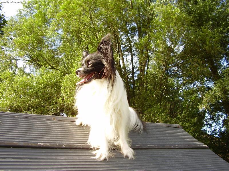 Foto: kleo-na ��ku