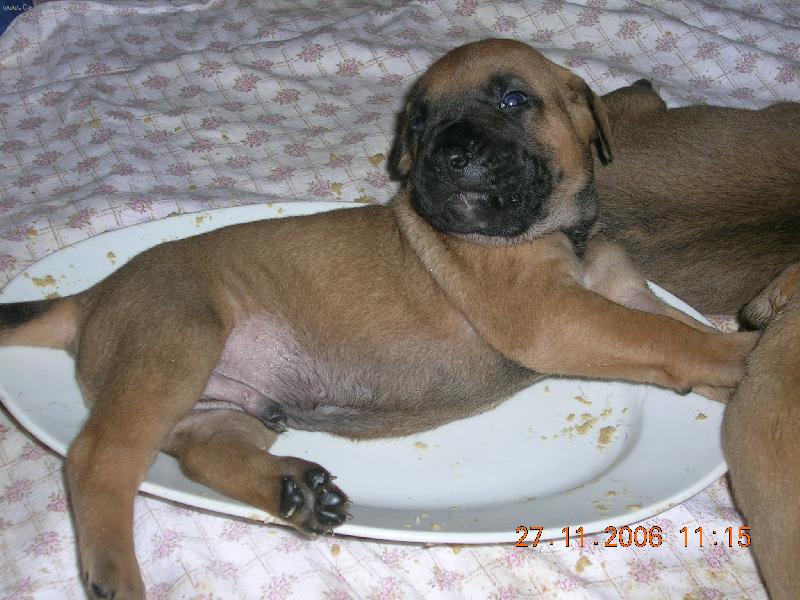 Foto: �t��ata-prvn� krmen�