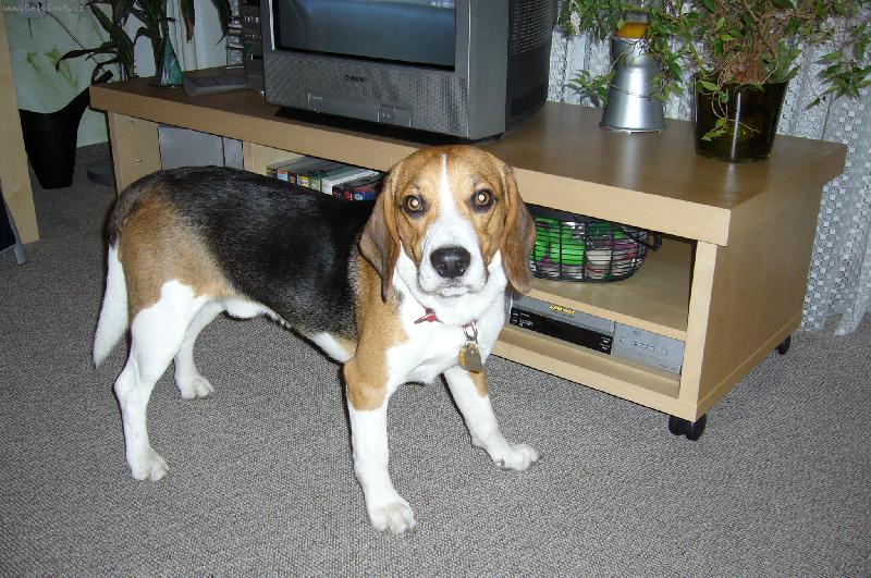 Foto: Johny-N� krasavec ..