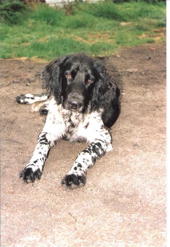 Foto: Kim od Star� vsi