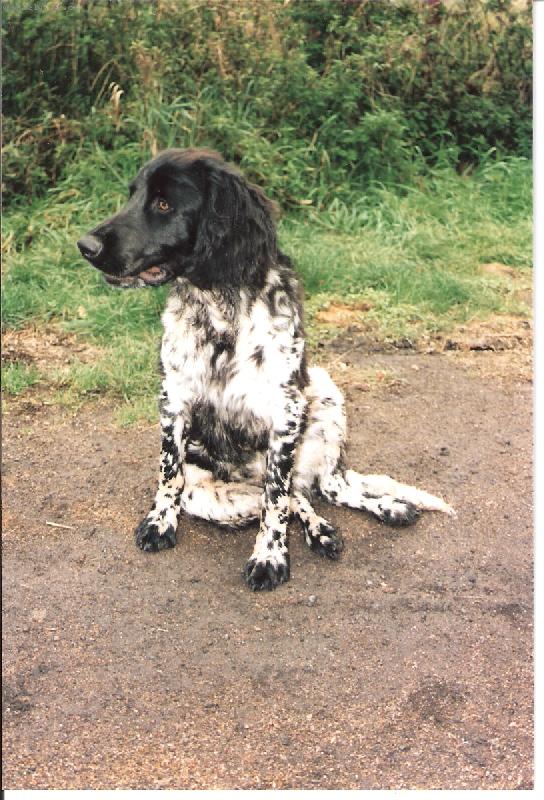 Foto: Kim od Star� vsi