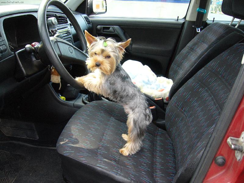 Foto: MIA z D���na-pan� �idi�ka