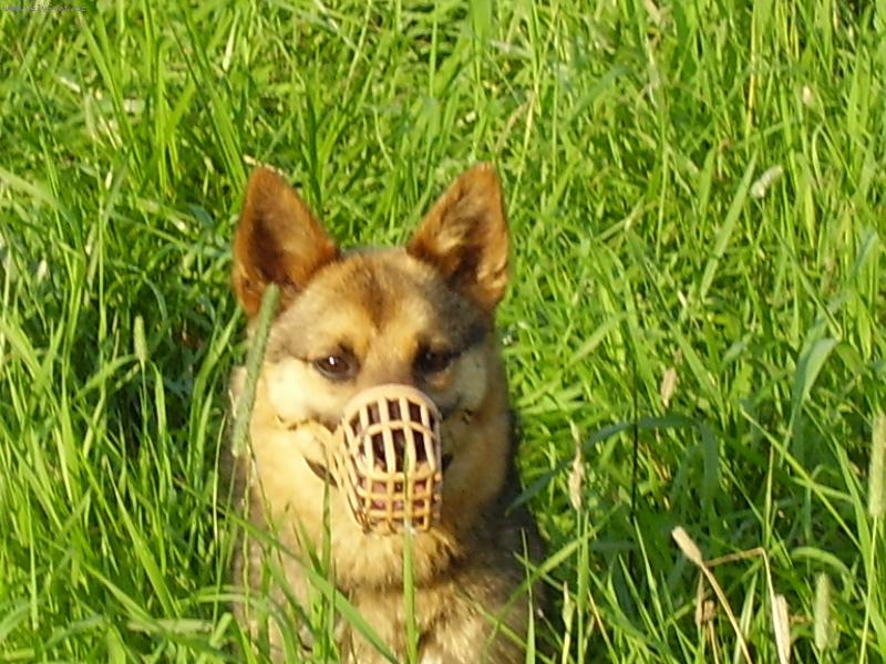 Foto: niki-snad m� nenajde