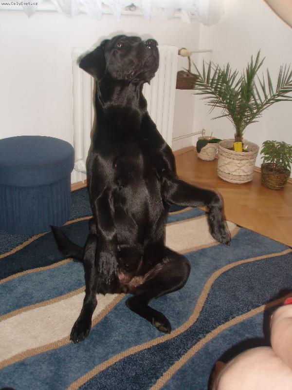 Foto: Eli�ka pros�