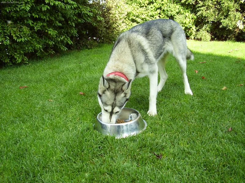 Foto: Tracy-�r�dlo