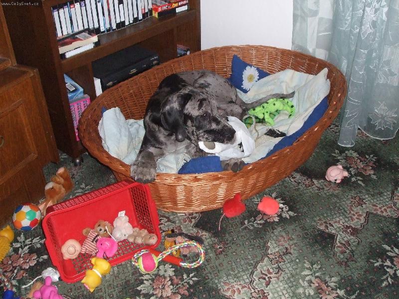 Foto: U n�s v mate�sk� ...