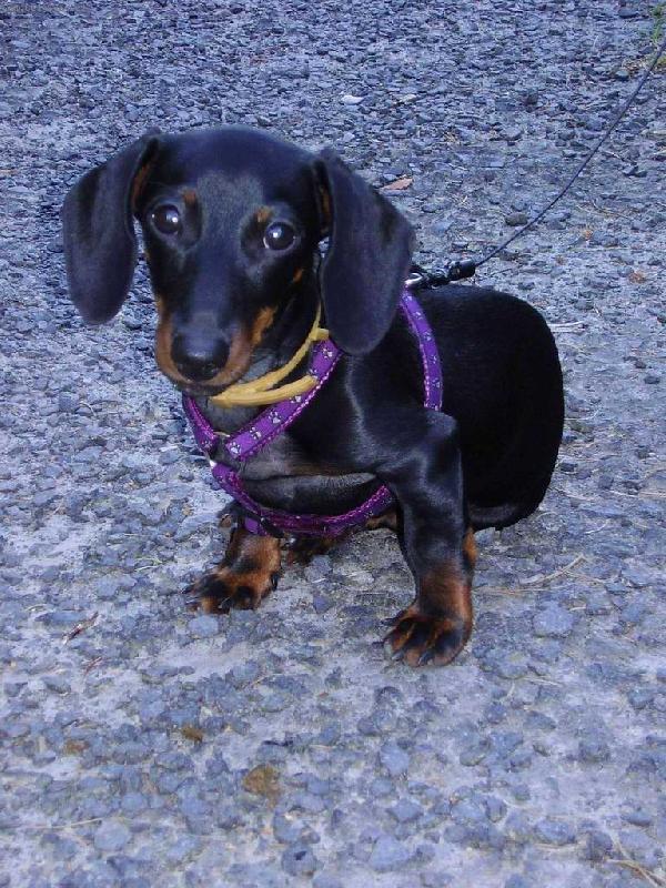 Foto: Model-Monty 7 m�s�c�