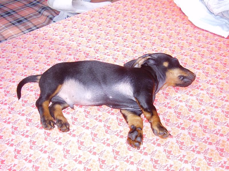 Foto: Spink�m-Monty 3 m�s�ce