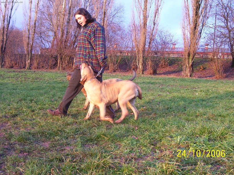 Foto: Alicia-jo, v�cvik je v�cvik