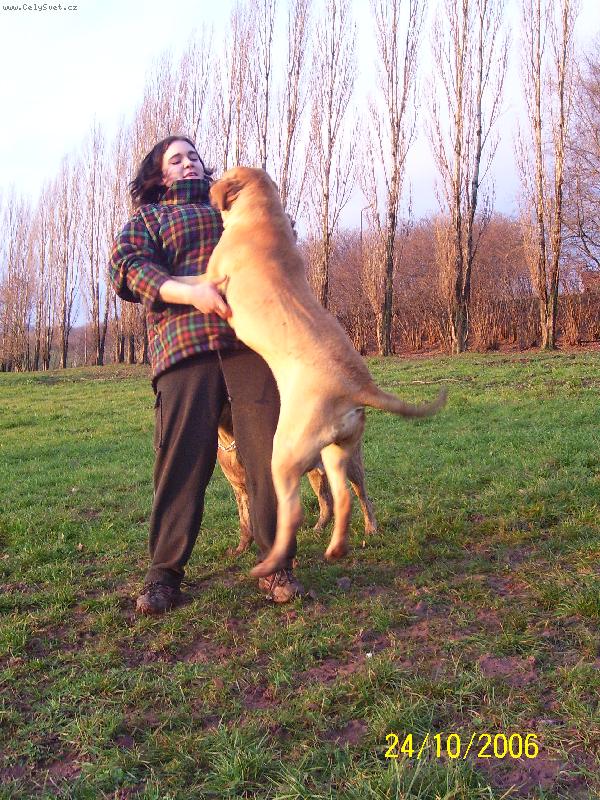 Foto: Alicia-je libo tane�ek?